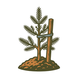 Tree Planting icon