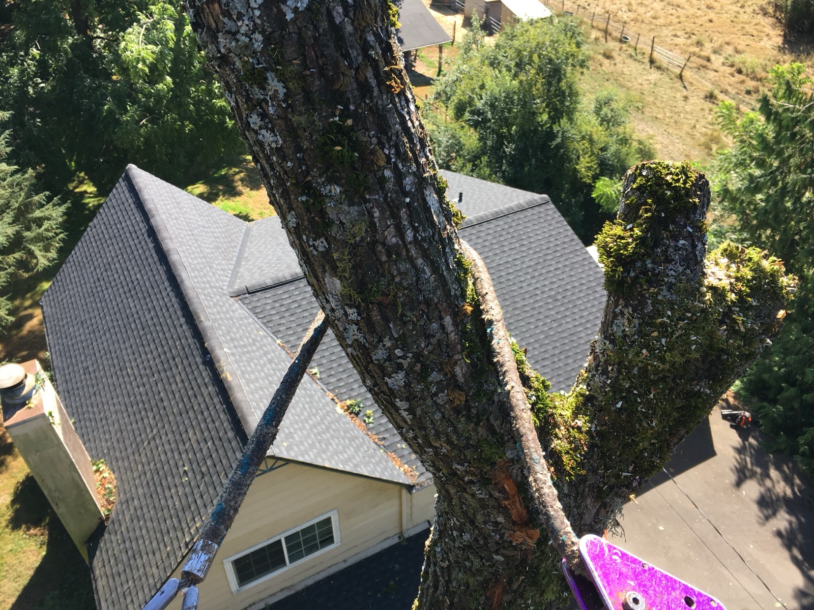 The dangerous part is what’s still up there.