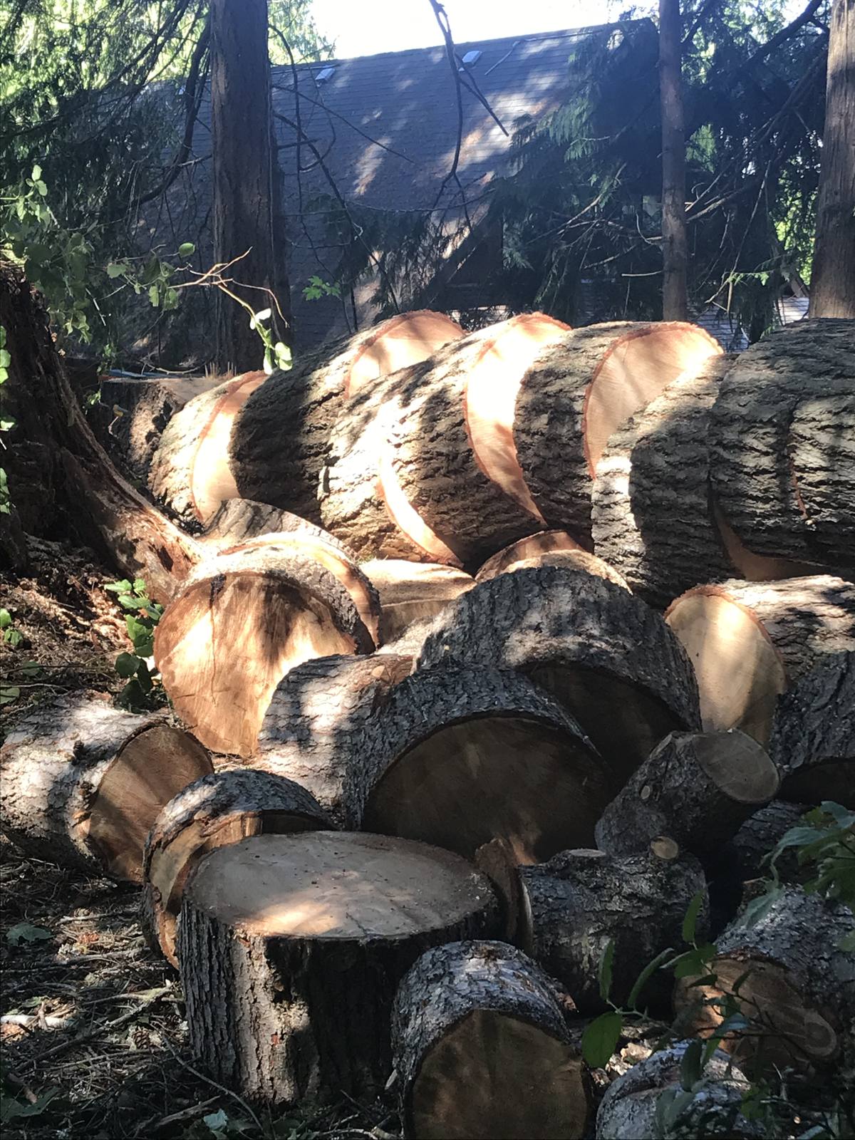 Bucked rounds stacked for the homeowner