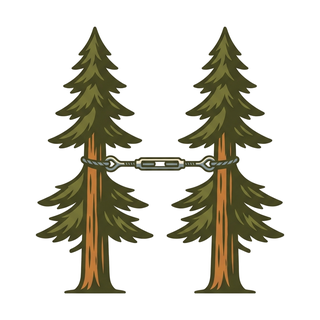 Cabling & Bracing icon