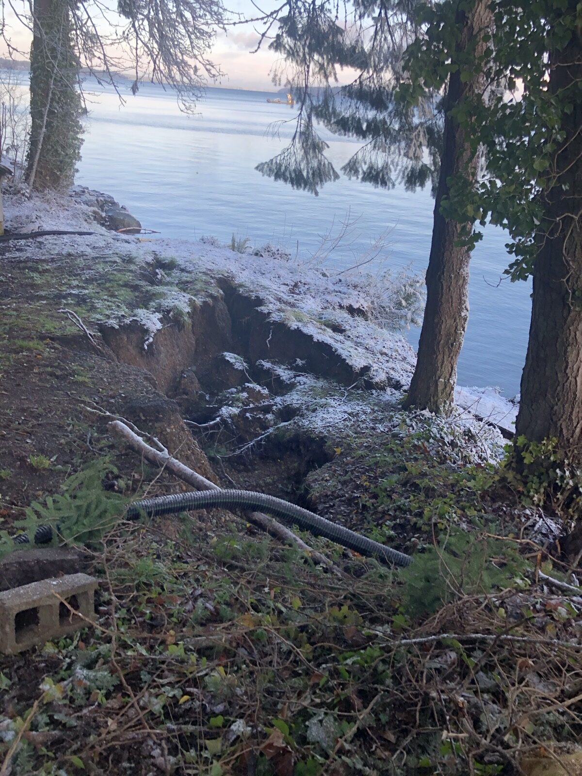View Clearing — Jet City Tree Care